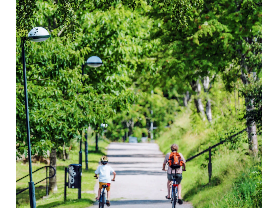 Cycling: A Journey to Health, Happiness, and Sustainability