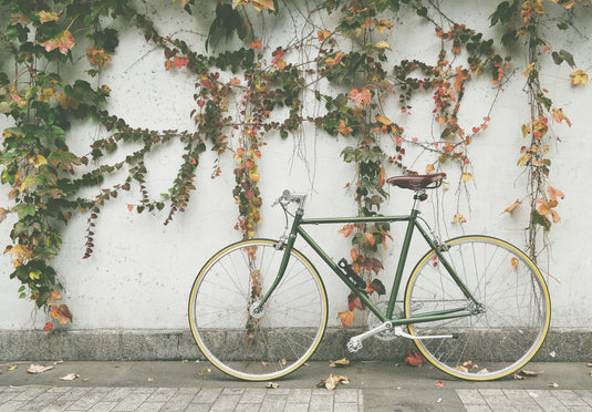 Balancing Diet and Exercise: A Holistic Approach to Health