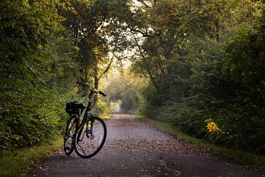 Safeguarding Your Ride: How to Enjoy Riding without the Fear of Bike Theft