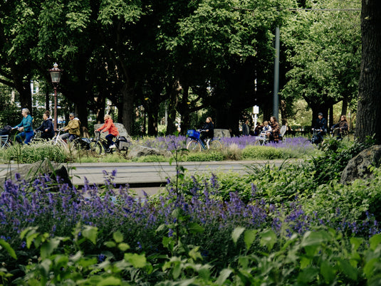 Summer Cycling Bliss: Unleashing the Benefits of Outdoor Riding