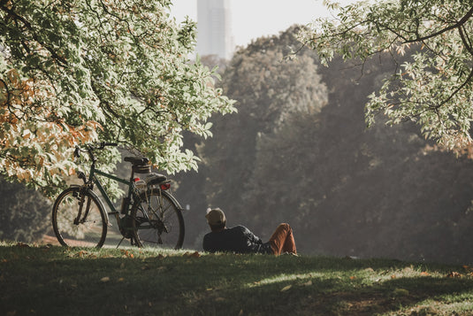 Pedaling Towards the Future: Emerging Trends in the Bicycle Lock Market